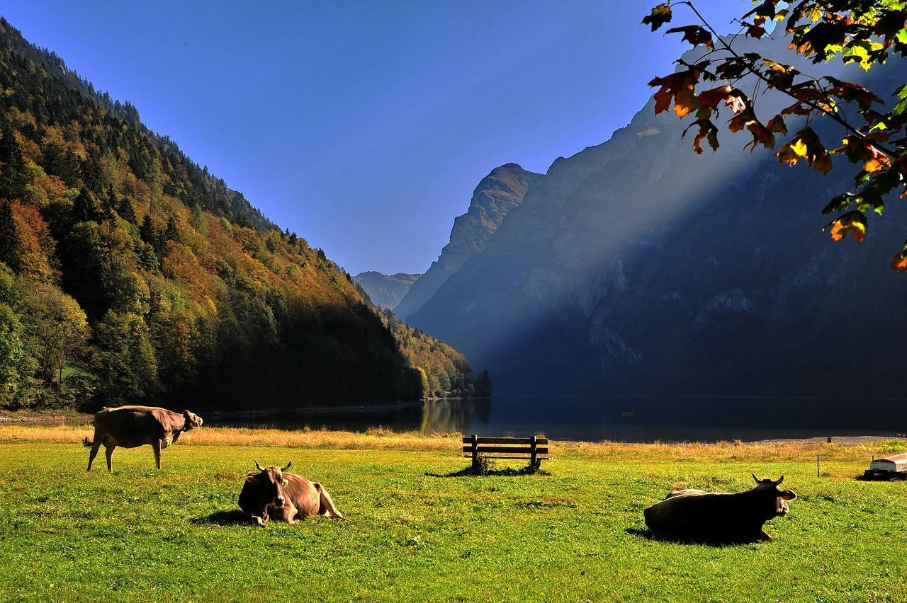 Hotel Freihof Glarus Kültér fotó